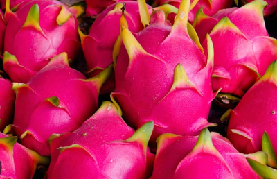 Pink Pitaya